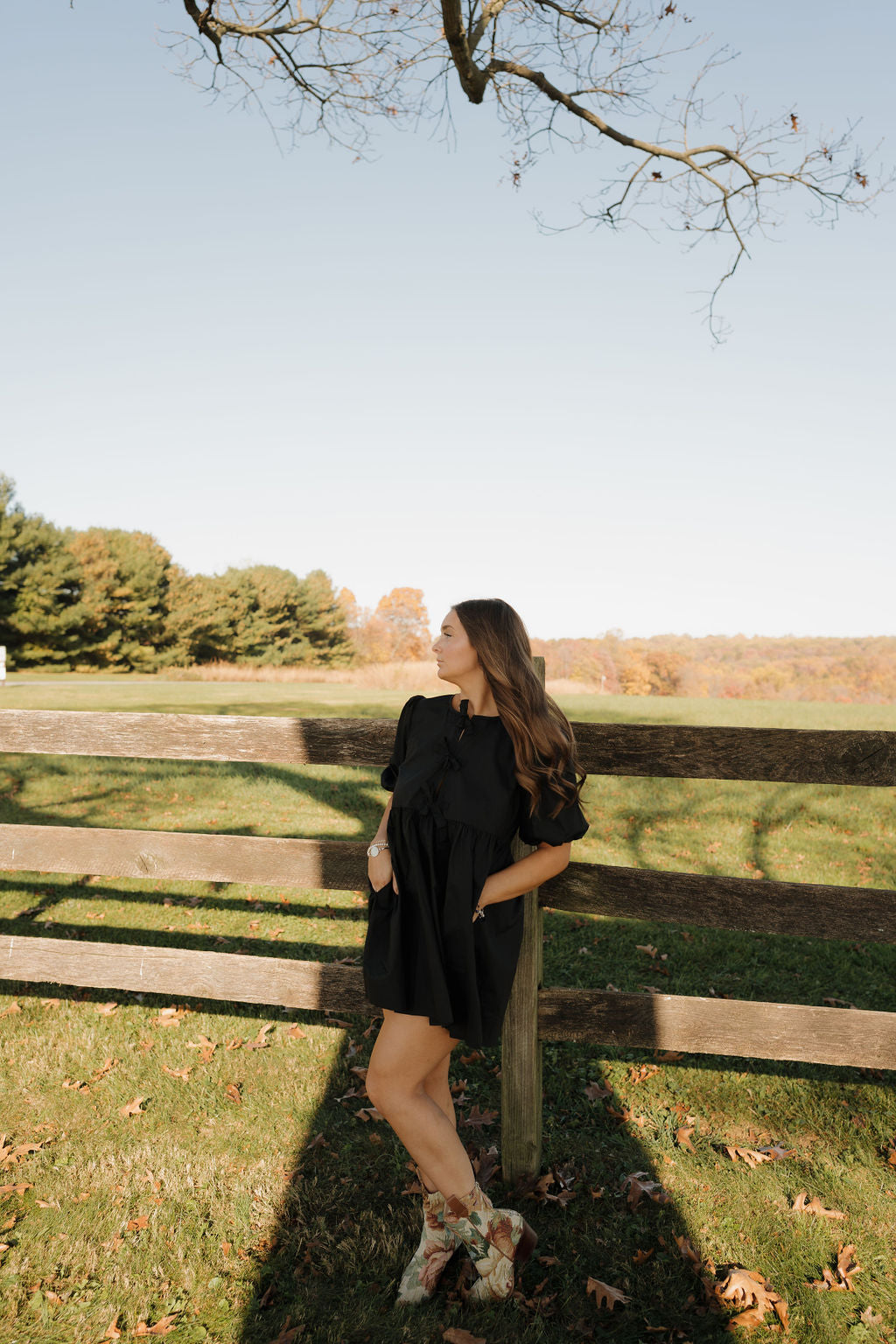 'Poppy' Mini Dress (2 colors)